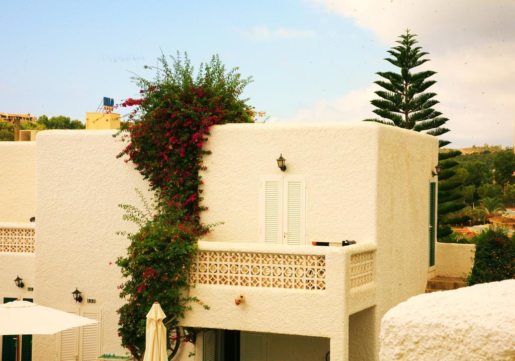 Villa Columbus Family Boutique Hotel パゲラ エクステリア 写真