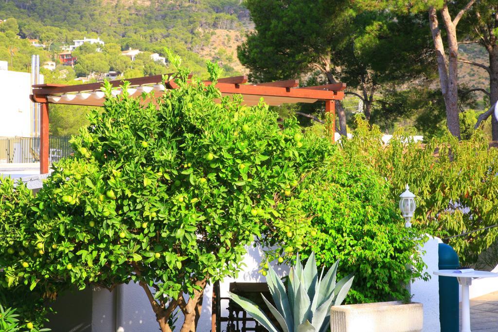 Villa Columbus Family Boutique Hotel パゲラ エクステリア 写真